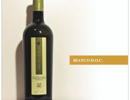 Immagine 1 di COLLI DELLA SABINA BIANCO D.O.C. DOMINA SABINAE