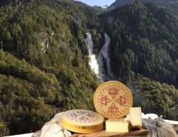 Immagine 4 di BRANZI FTB CASEARIA DI BRANZI