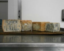 Immagine 1 di ERBORINATO VAL DRAGONE