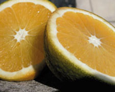 Immagine 1 di Arancia Bionda I.G.P.