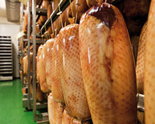 Immagine 1 di SASAKA DELE LPI CARNICHE