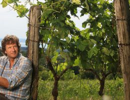 Immagine 2 di CARSO MALVASIA D.O.C. SKERK VIGNA E VINI