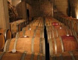 Immagine 3 di CARSO MALVASIA D.O.C. SKERK VIGNA E VINI