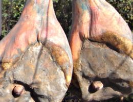 Immagine 2 di PROSCIUTTO CRUDO DEL CARSO AGRI KOVAC