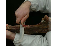 Immagine 1 di VIOLINO DI CAPRE DELLA VALCHIAVENNA LA CASA DEI SAPORI