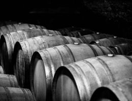 Immagine 3 di TAI ROSSO COLLI BERICI MERLOT D.O.C. RIVESELLE