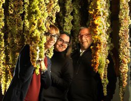 Immagine 1 di BREGANZE TORCOLATO D.O.C.