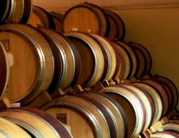 Immagine 5 di BREGANZE TORCOLATO D.O.C.