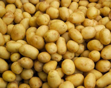 Immagine 1 di La Patata di Rodzo