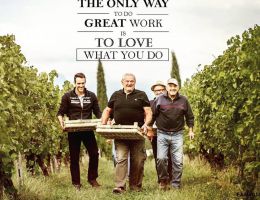 Immagine 2 di RIVIERA DEL GARDA CLASSICO CHIARETTO D.O.C. FAMIGLIA OLVINI