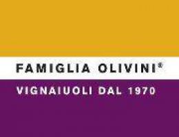 Immagine 3 di RIVIERA DEL GARDA CLASSICO CHIARETTO D.O.C. FAMIGLIA OLVINI