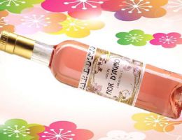 Immagine 1 di ROSOLIO DI CARLOTTO LIQUORERIA CARLOTTO