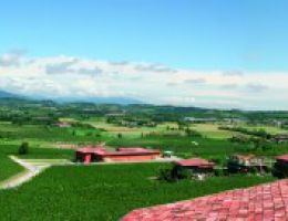 Immagine 4 di FRANCIACORTA PAS DOSE' RISERVA 33 FERGHETTINA