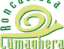 Immagine 1 di ALLEVAMENTO BIO DI LUMACHE AGRI RONCADIZZA LUMACHERA