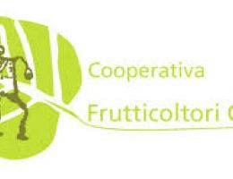 Immagine 2 di CONFETTURA DI MELA AL CACAO COOP. FRUTTICOLTORI CAMUNI