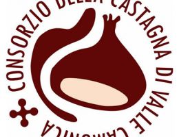 Immagine 1 di CASTAGNA VALCAMONICA