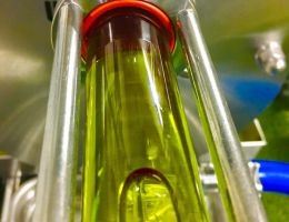 Immagine 2 di OLIO EXTRAVERGINE DI OLIVA BLEND DI QUALITA' SUPERIORE COMINCIOLI