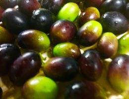 Immagine 3 di OLIO EXTRAVERGINE DI OLIVA BLEND DI QUALITA' SUPERIORE COMINCIOLI