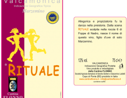 Immagine 1 di VALCAMONICA MARZEMINO I.G.T. RITUALE CANTINA FLONNO