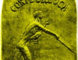 Immagine 3 di PROSCIUTTINO CRUDO D' OCA DI MORTARA CORTE DELL' OCA