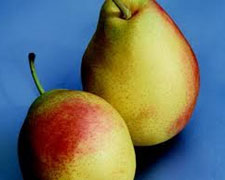 Immagine 1 di PERA SPADONE DEL SALENTO