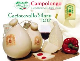 Immagine 1 di CACIOCAVALLO SILANO D.O.P.