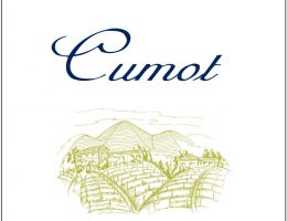 Immagine 3 di NEBBIOLO D'ALBA D.O.C. SUPERIORE CUMOT BRICCO MAIOLICA