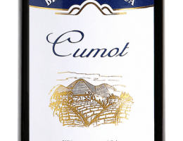 Immagine 1 di NEBBIOLO D'ALBA D.O.C. SUPERIORE CUMOT BRICCO MAIOLICA