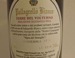 Immagine 1 di TERRE DEL VOLTURNO PALLAGRELLO BIANCO I.G.T. COLLINE CAIATINE