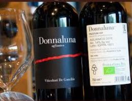 Immagine 1 di PAESTUM AGLIANICO I.G.T.  DONNALUNA