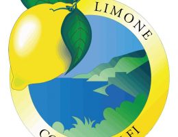 Immagine 5 di LIMONE COSTA D'AMALFI I.G.P.
