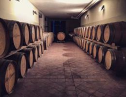 Immagine 2 di BAROLO D.O.C.G. RISERVA LAZZARITO ETTORE GERMANO VINI