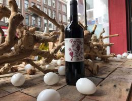 Immagine 1 di COLLI DI SALERNO MONTEVETRANO ROSSO I.G.T.