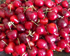 Immagine 1 di Ciliegia  di Bracigliano