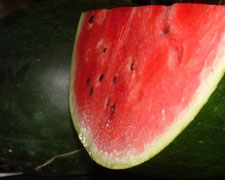 Immagine 1 di MELONE DI ALTAVILLA