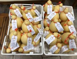 Immagine 4 di CACIOCAVALLO DI CASTELFRANCO IN MISCANO