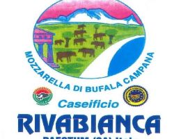 Immagine 2 di RICOTTA DI BUFALA DI PAESTUM CASEIFICIO RIVABIANCA