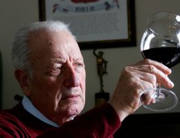 Immagine 2 di FALERNO DEL MASSICO PRIMITIVO D.O.C. MAIATICO