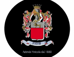 Immagine 3 di FALERNO DEL MASSICO PRIMITIVO D.O.C. MAIATICO