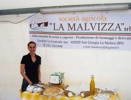 Immagine 2 di PECORINO DI PECORA LATICAUDA SANNITA