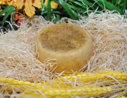 Immagine 3 di PECORINO DI PECORA LATICAUDA SANNITA