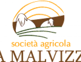 Immagine 5 di PECORINO DI PECORA LATICAUDA SANNITA