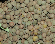 Immagine 1 di LENTICCHIA DI VALLE AGRICOLA