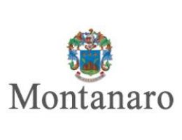 Immagine 2 di GRAPPA BAROLO STRAVECCHIA BOTTIGLIA NERA DISTILLERIA MONTANARO