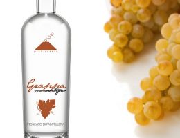 Immagine 1 di GRAPPA MOSCATO DI PANTELLERIA