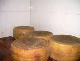 Immagine 2 di PECORINO  DI CARMASCIANO STAGIONATO OLTRE 12 MESI