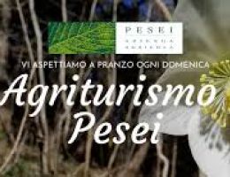 Immagine 2 di CONFETTURA EXTRA DI MELE COTOGNO AGRI PESEI