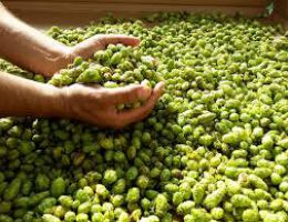 Immagine 3 di DIVERSAMENTE BIONDA