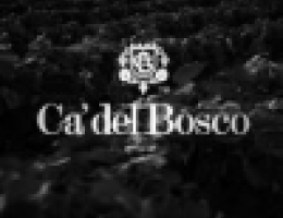 Immagine 5 di FRANCIACORTA CUVÉE PRESTIGE CA' DEL BOSCO