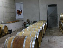 Immagine 2 di COLLI DI SALERNO FIANO I.G.P. QUARTARA IN TERRACOTTA